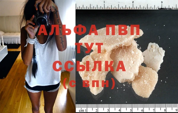 ешки Касимов