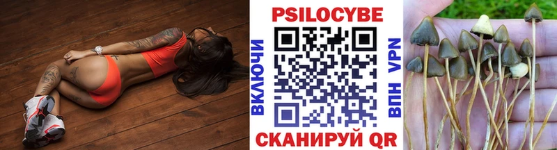 наркота  Старая Русса  Псилоцибиновые грибы ЛСД 